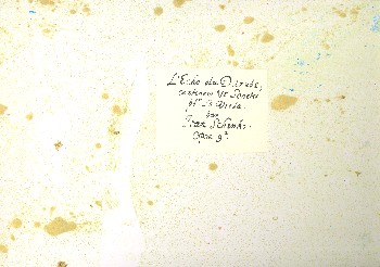 L'Echo du Danube op.9