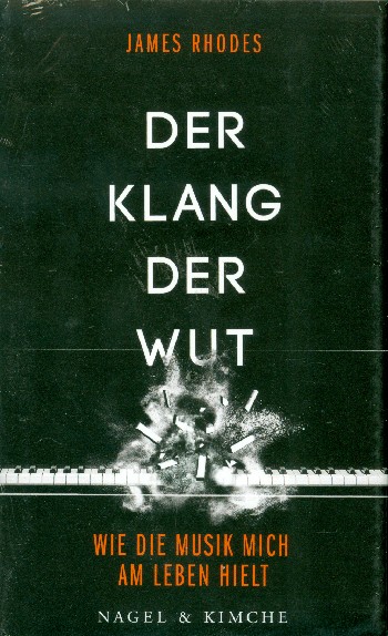 Der Klang der Wut - Wie mich die Musik am Leben hielt