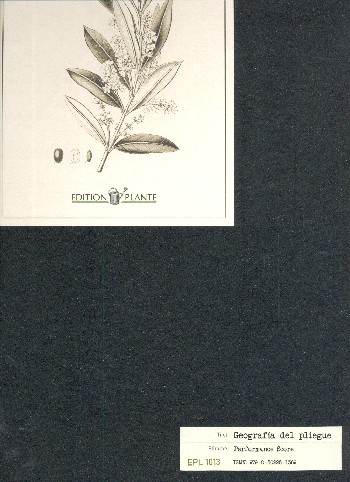 Geografía del pliegue