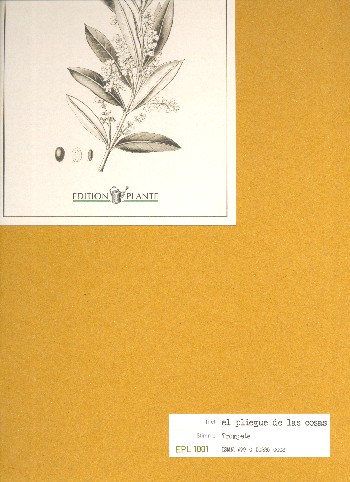 El pliegue de las cosas