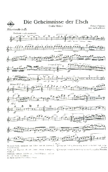 Die Geheimnisse der Etsch