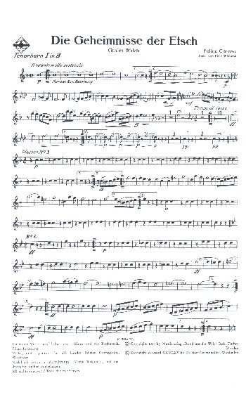 Die Geheimnisse der Etsch