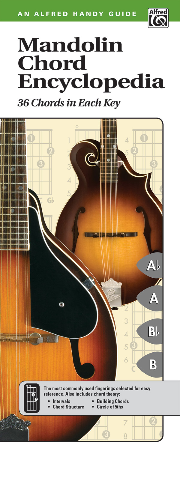Mandolin Chord Encyclopedia - Handy Guide