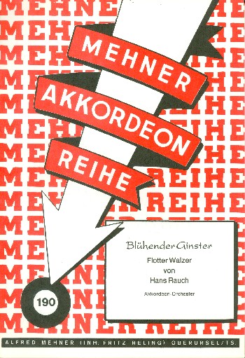 Blühender Ginster: