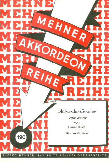 Blühender Ginster: