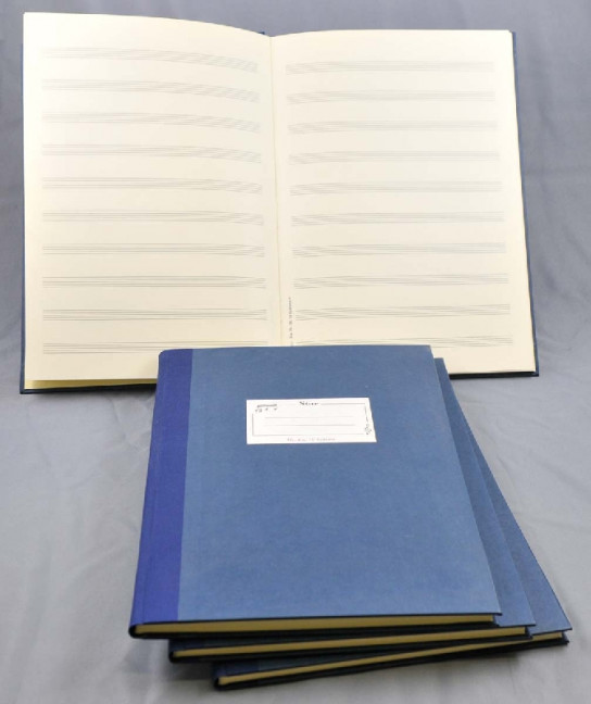 Notenpapier DIN A4 hoch 12 Systeme