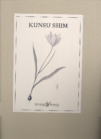 Entwurf einer Landschaft