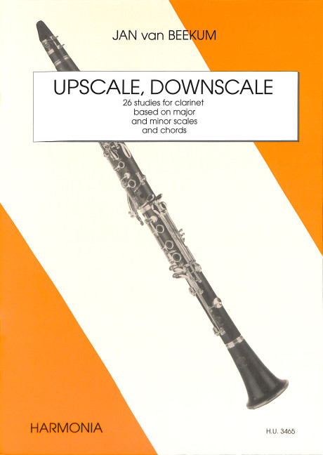 Upscale Downscale