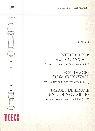 Nebelbilder aus Cornwall