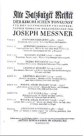 Il bianco e dolce cigno