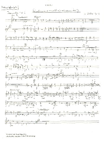 Sinfonie e-Moll in einem Satz op.12