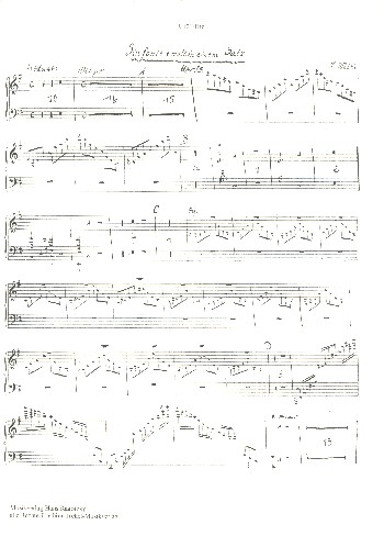 Sinfonie e-Moll in einem Satz op.12