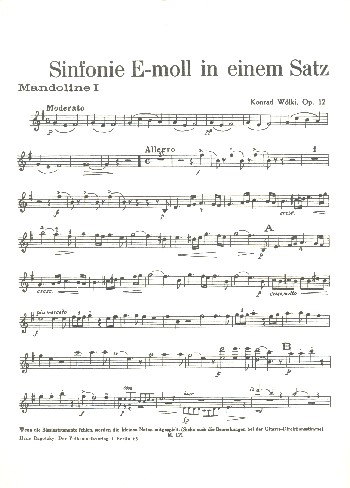 Sinfonie e-Moll in einem Satz op.12