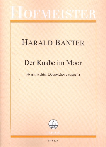 Der Knabe im Moor