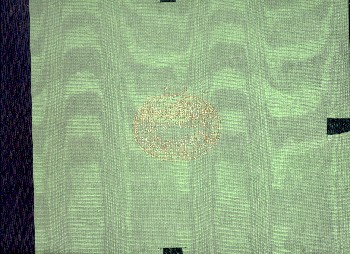 Clavier-Sonaten für Kenner und Liebhaber