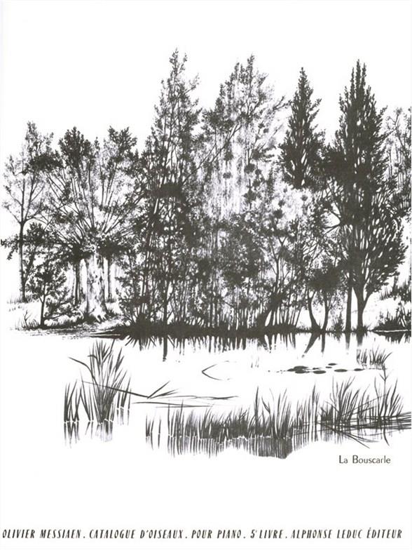 Catalogue d'oiseaux vol.5 (nos.8+9)