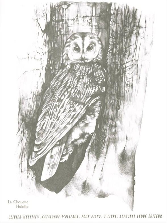 Catalogue d'oiseaux vol.3 (nos.5-6)