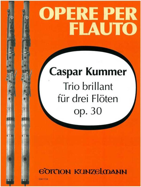 Trio brillant D-Dur op.30