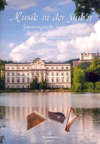 Stimmungsvolle Saitenmusik