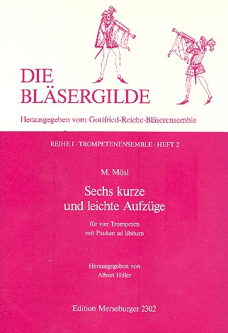 6 kurze und leichte Aufzüge
