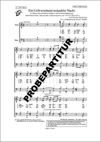 Ein Licht erscheint in dunkler Nacht