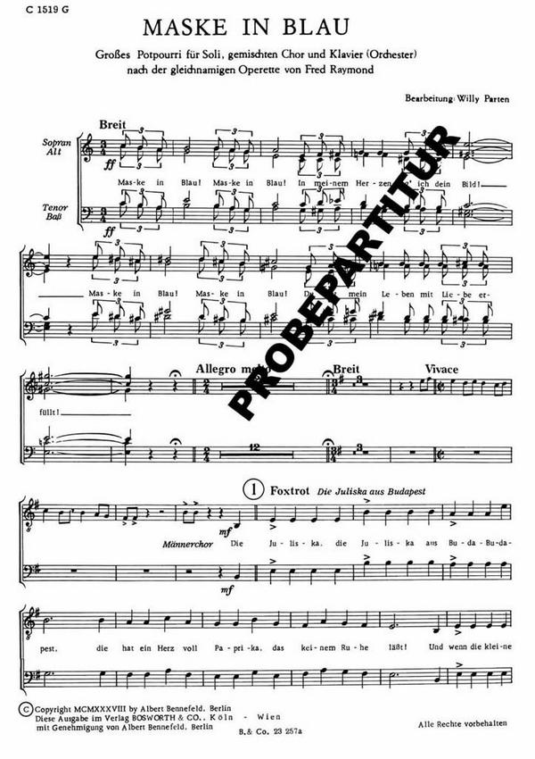 Maske in Blau großes Potpourri