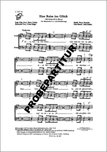 EINE REISE INS GLUECK