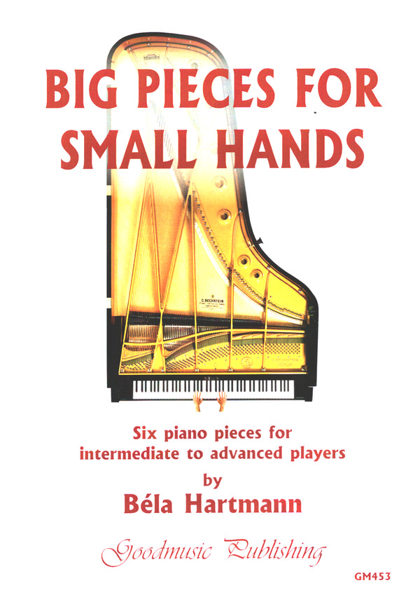 Big Pieces for small hands