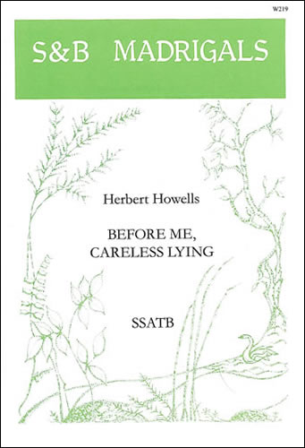 Before me careless lying