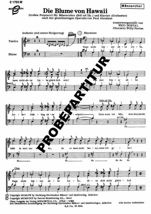 Blume von Hawaii großes Potpourri