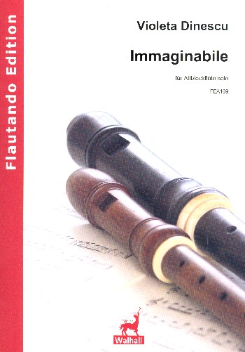 Immaginabile