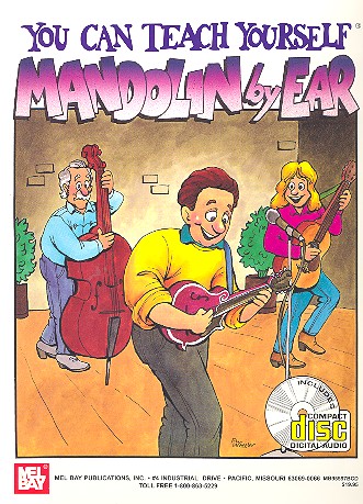 You can teach yourself Mandolin