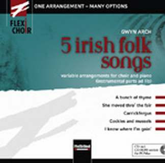 5 irish Folk Songs CD