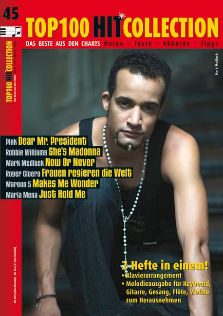 Top 100 Hit Collection Band 45