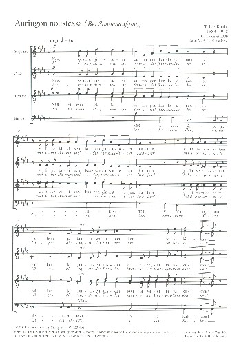 Auringon noustessa für gem Chor a cappella