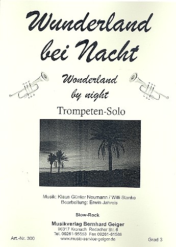 Wunderland bei Nacht