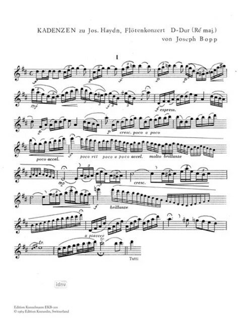 2 Kadenzen zum Konzert für Flöte und Orchester von J.Haydn