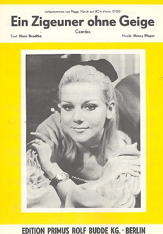Ein Zigeuner ohne Geige: