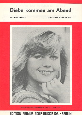 Diebe kommen am Abend: