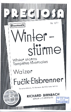 Winterstürme: