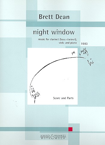 Night window