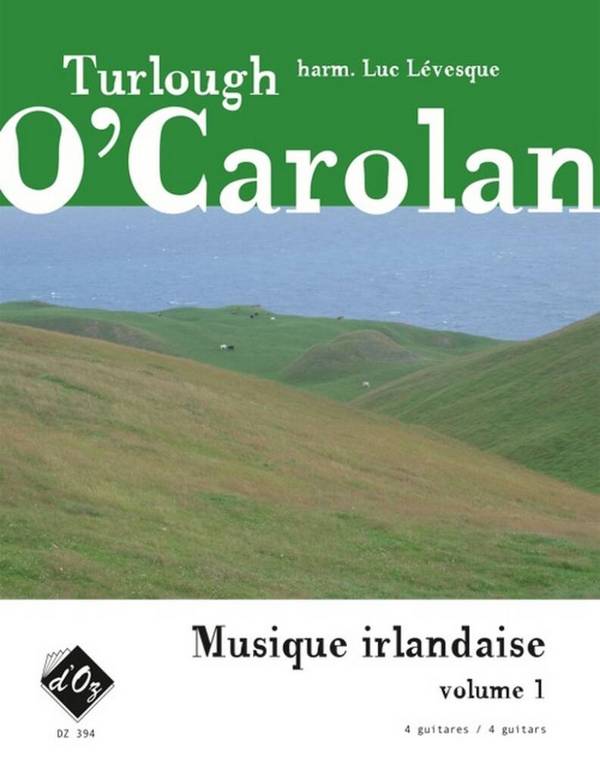 Musique irlandaise vol. 1