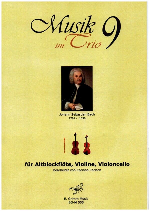 Musik im Trio Band 9