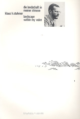 Die Landschaft in meiner Stimme