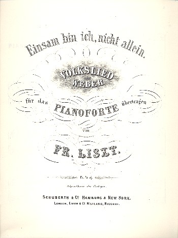 Einsam bin ich nicht allein