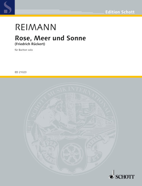 Rose, Meer und Sonne