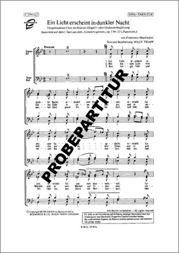 Ein Licht erscheint in dunkler Nacht