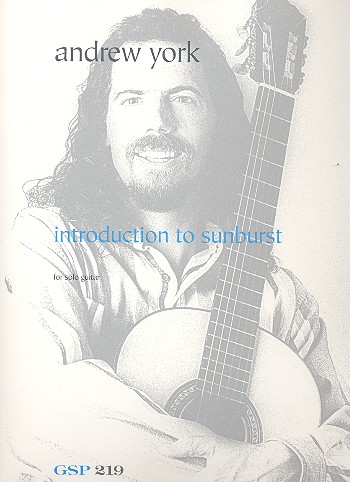 Introduction to Sunburst
