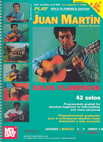 Play solo Flamenco Guitar