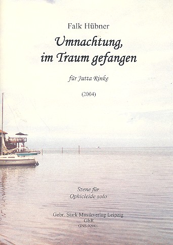 Umnachtung im Traum gefangen